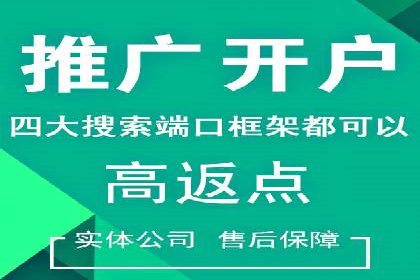 行业领先的SEM投放效果案例解析